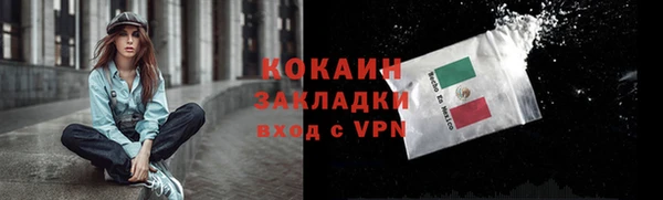 метадон Михайлов