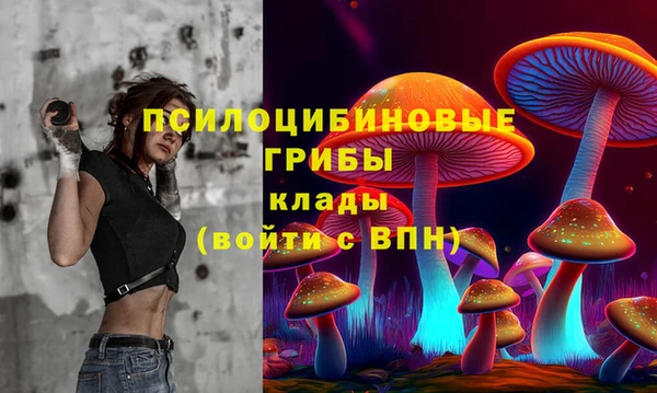 метадон Михайлов