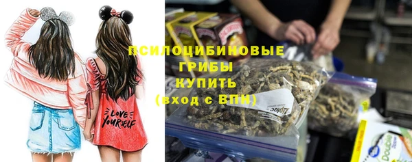 метадон Михайлов