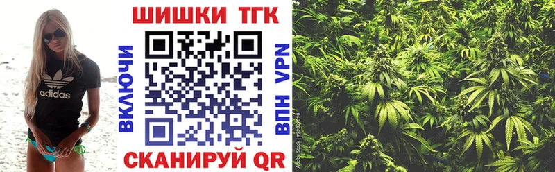 Канабис MAZAR Урень